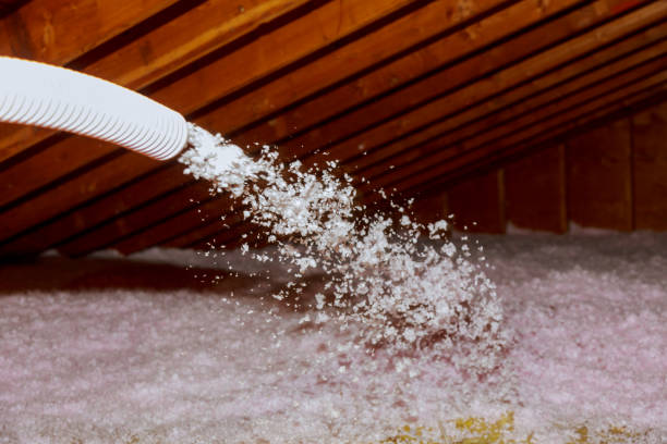 Best Insulation Contractor Near Me  in Denton, NC