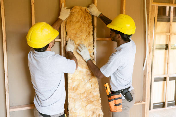 Best Insulation Removal Services  in Denton, NC