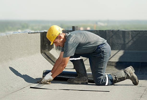 Best Insulation Contractors for Homes  in Denton, NC