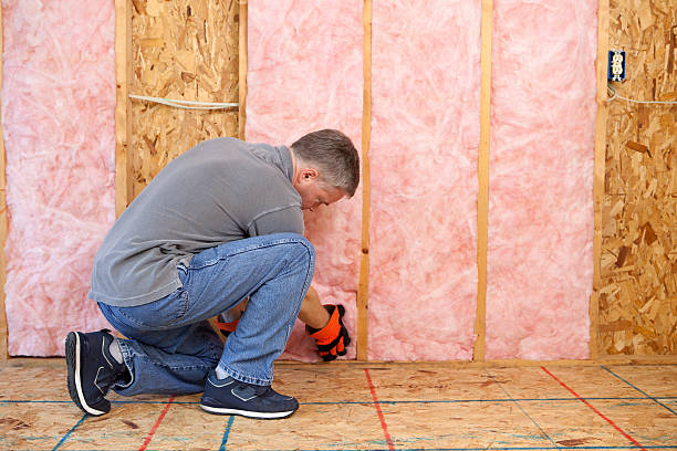 Best Cellulose Insulation  in Denton, NC