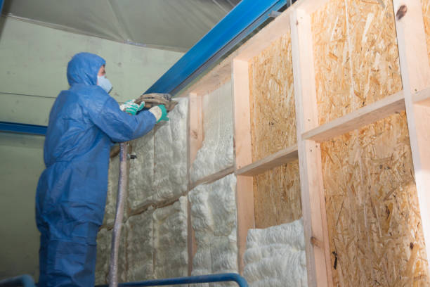 Best Insulation Removal  in Denton, NC